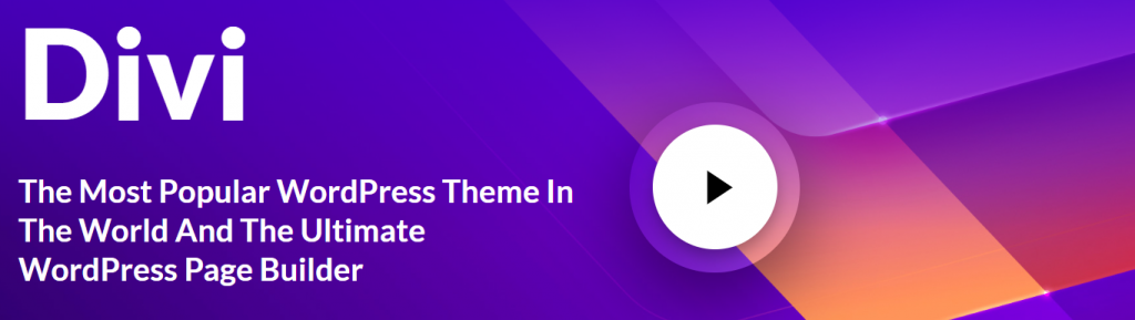 hálózatépítő weboldal divi